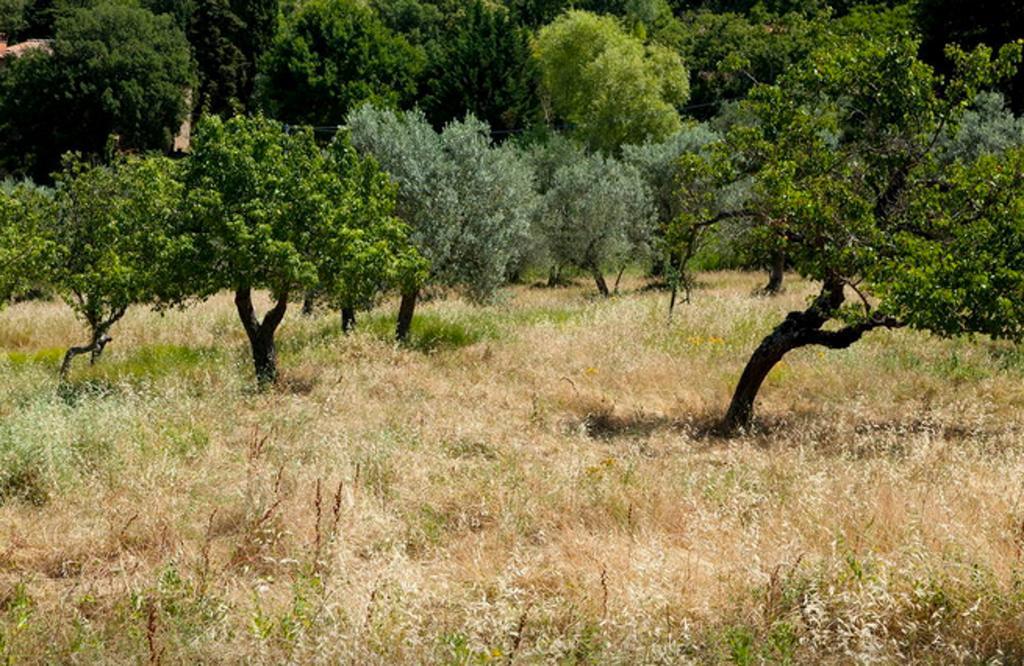 Fattoria La Tavernuzza Grassina Phòng bức ảnh