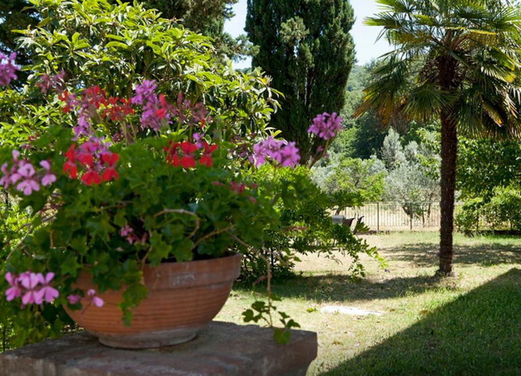 Fattoria La Tavernuzza Grassina Phòng bức ảnh