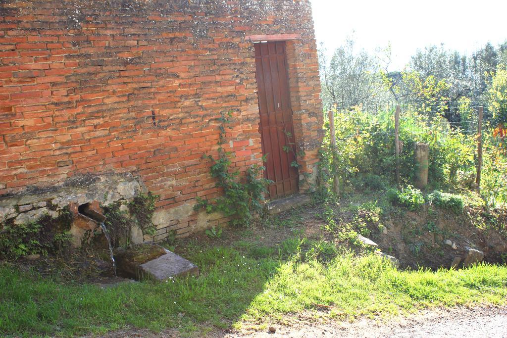 Fattoria La Tavernuzza Grassina Ngoại thất bức ảnh