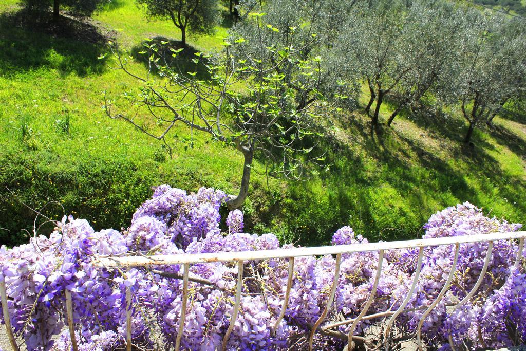Fattoria La Tavernuzza Grassina Ngoại thất bức ảnh