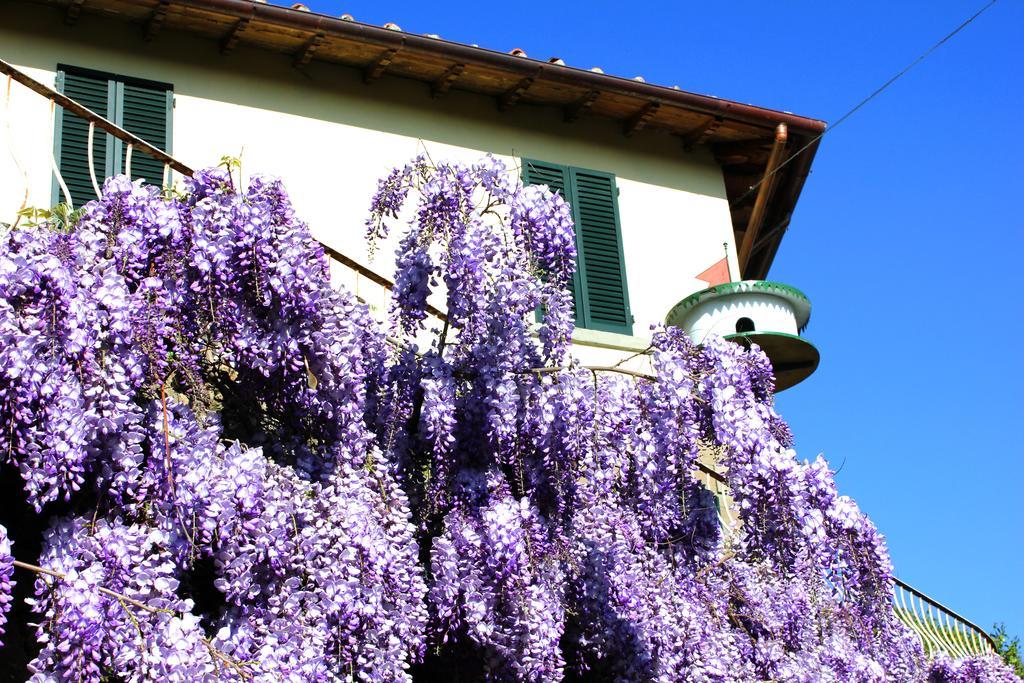 Fattoria La Tavernuzza Grassina Ngoại thất bức ảnh