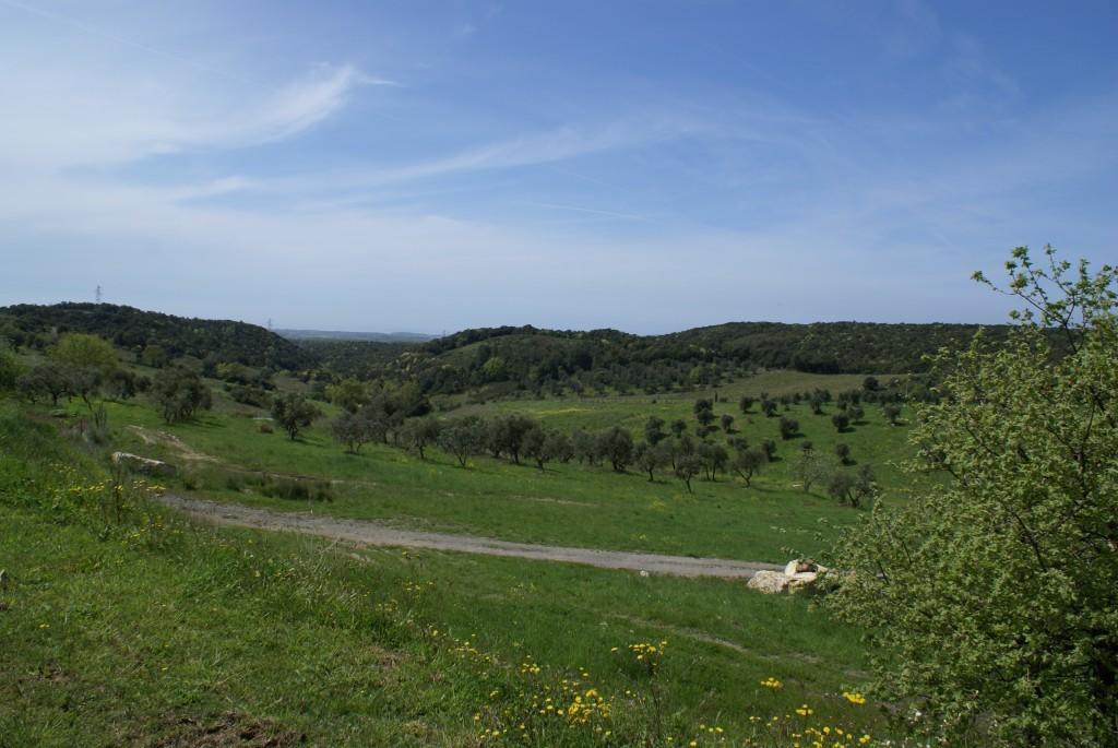 Fattoria La Tavernuzza Grassina Ngoại thất bức ảnh